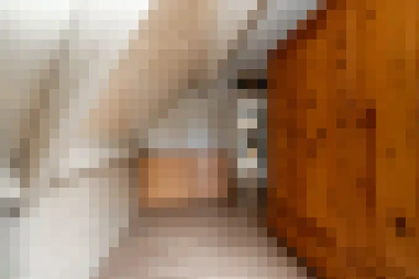 Noordzijde 193 Gasselternijveenschemond thumbnail 33