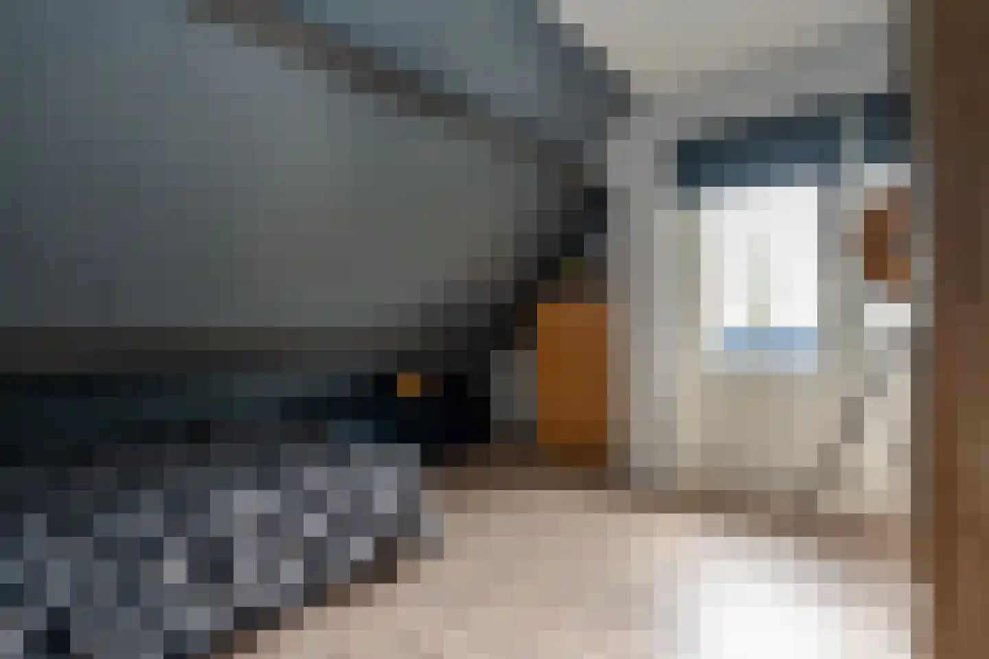 Noordzijde 193 Gasselternijveenschemond thumbnail 34