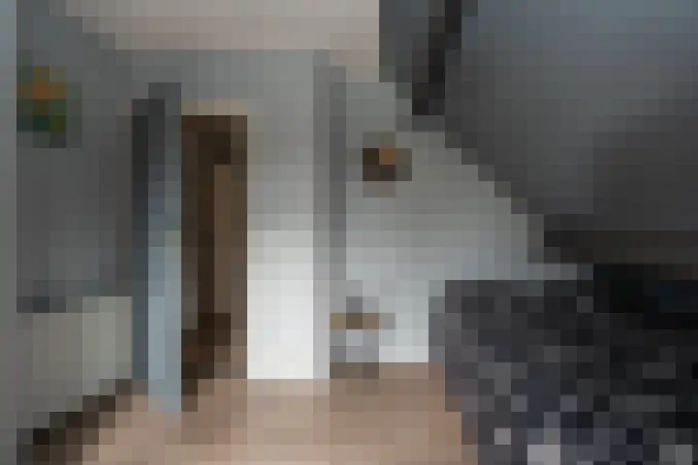 Noordzijde 193 Gasselternijveenschemond thumbnail 35
