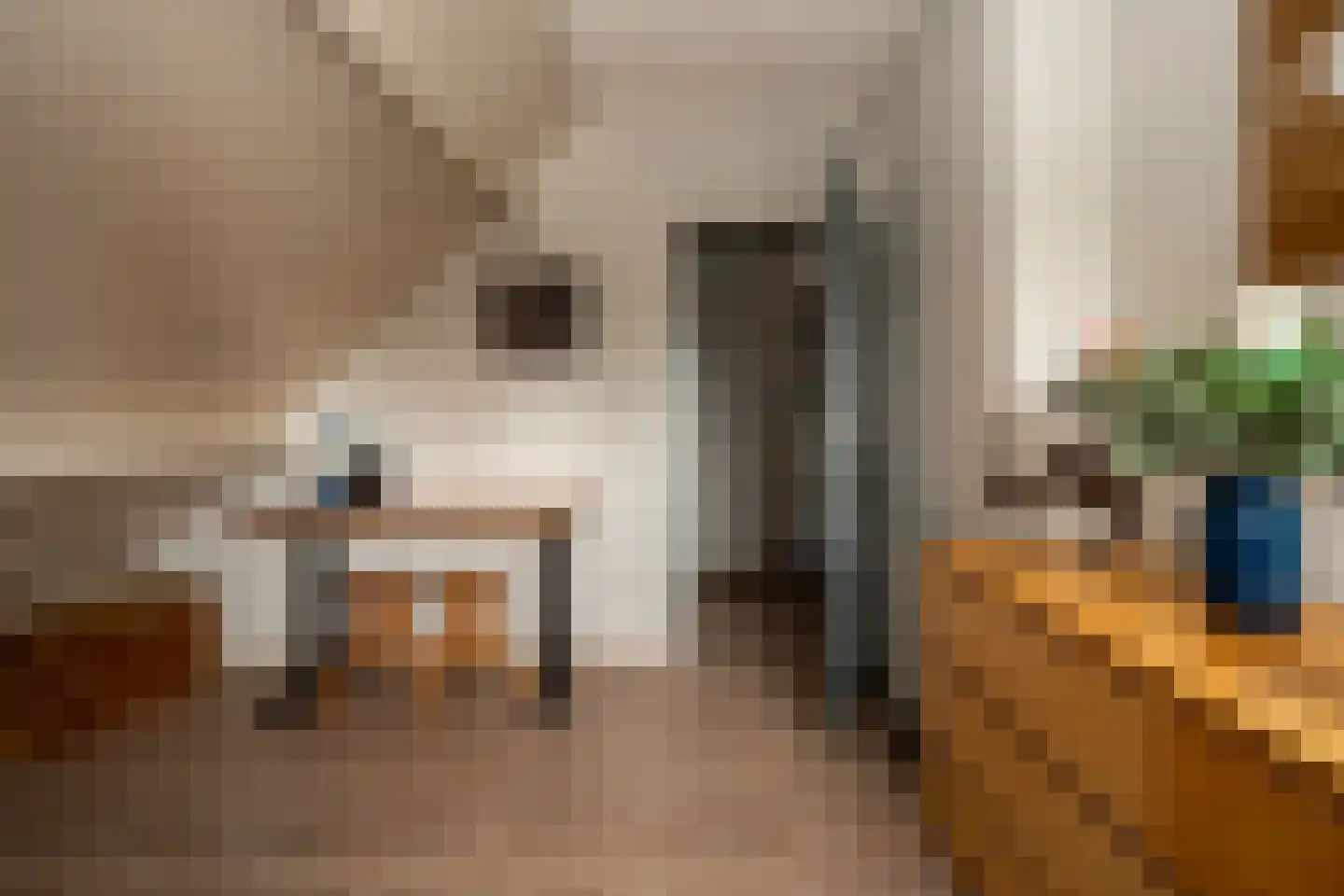 Noordzijde 193 Gasselternijveenschemond thumbnail 37