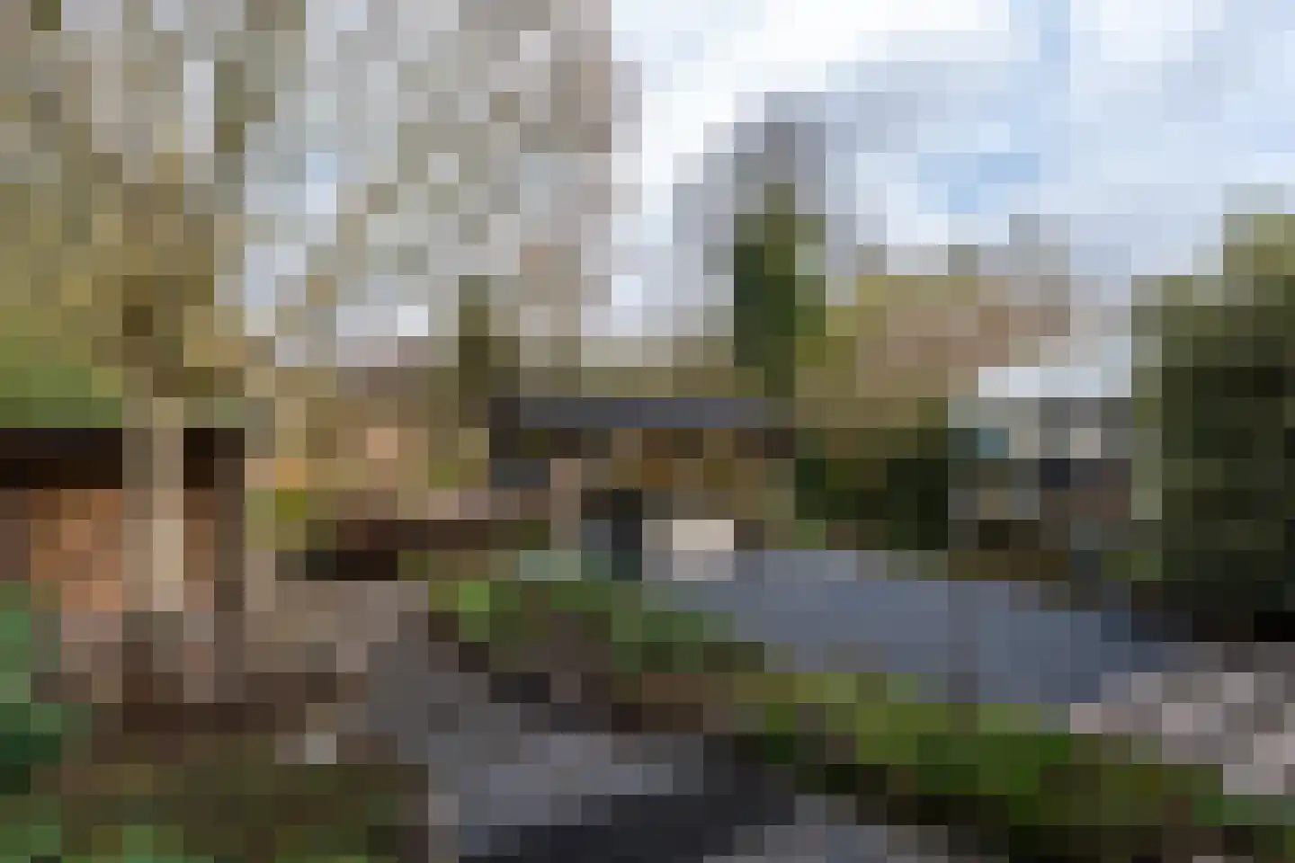 Noordzijde 193 Gasselternijveenschemond thumbnail 44