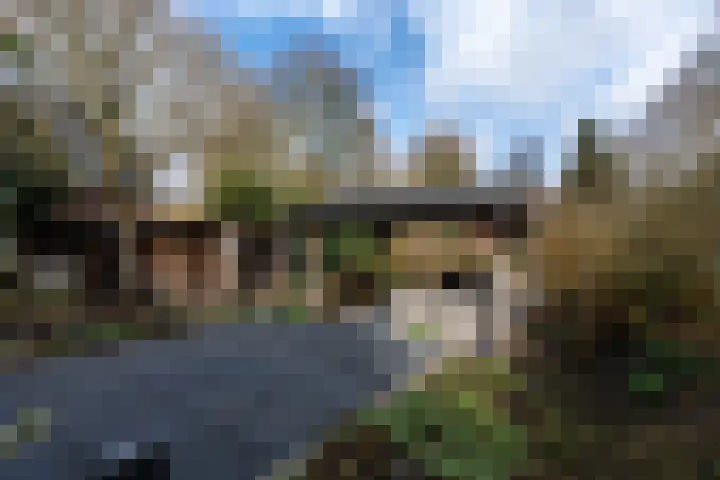Noordzijde 193 Gasselternijveenschemond thumbnail 45