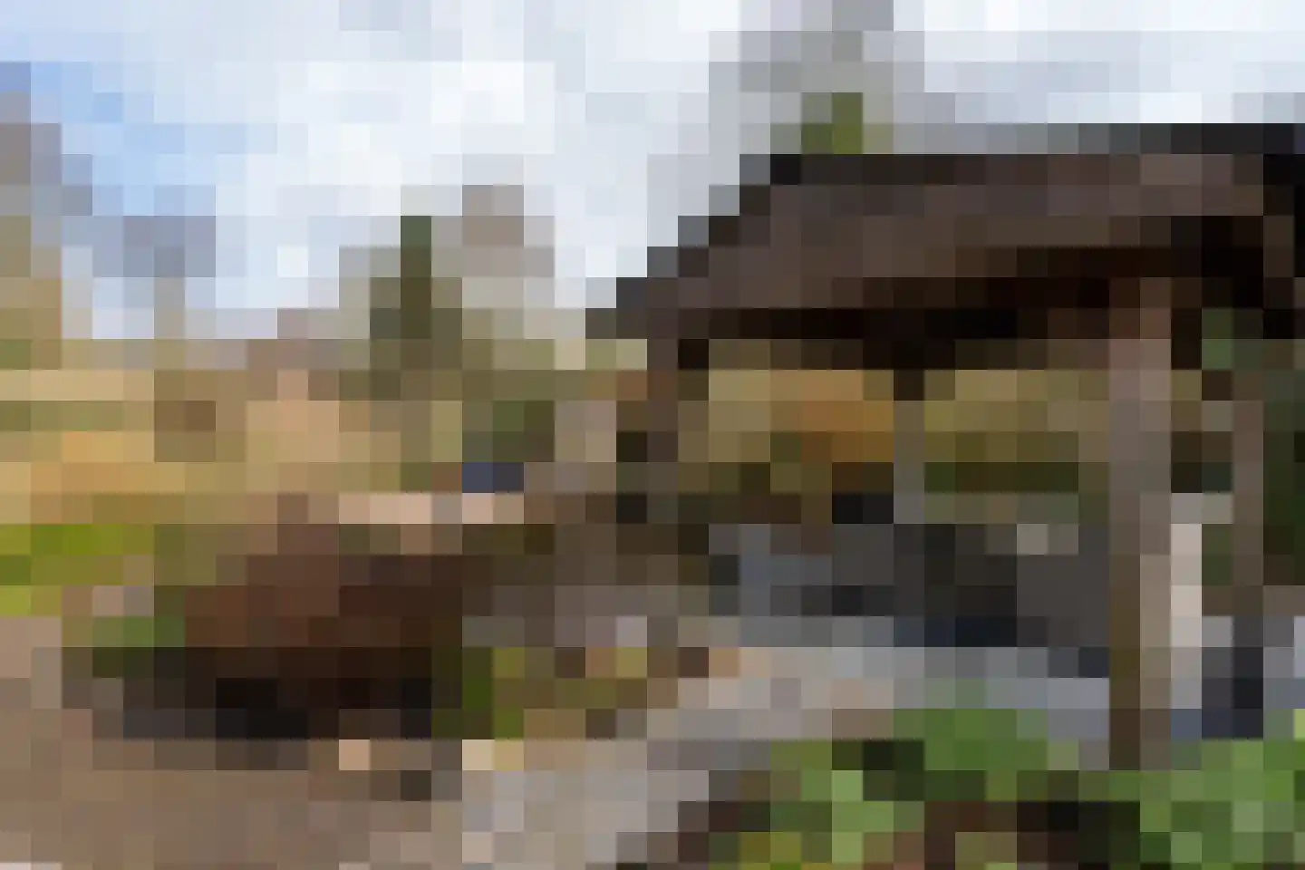 Noordzijde 193 Gasselternijveenschemond thumbnail 46