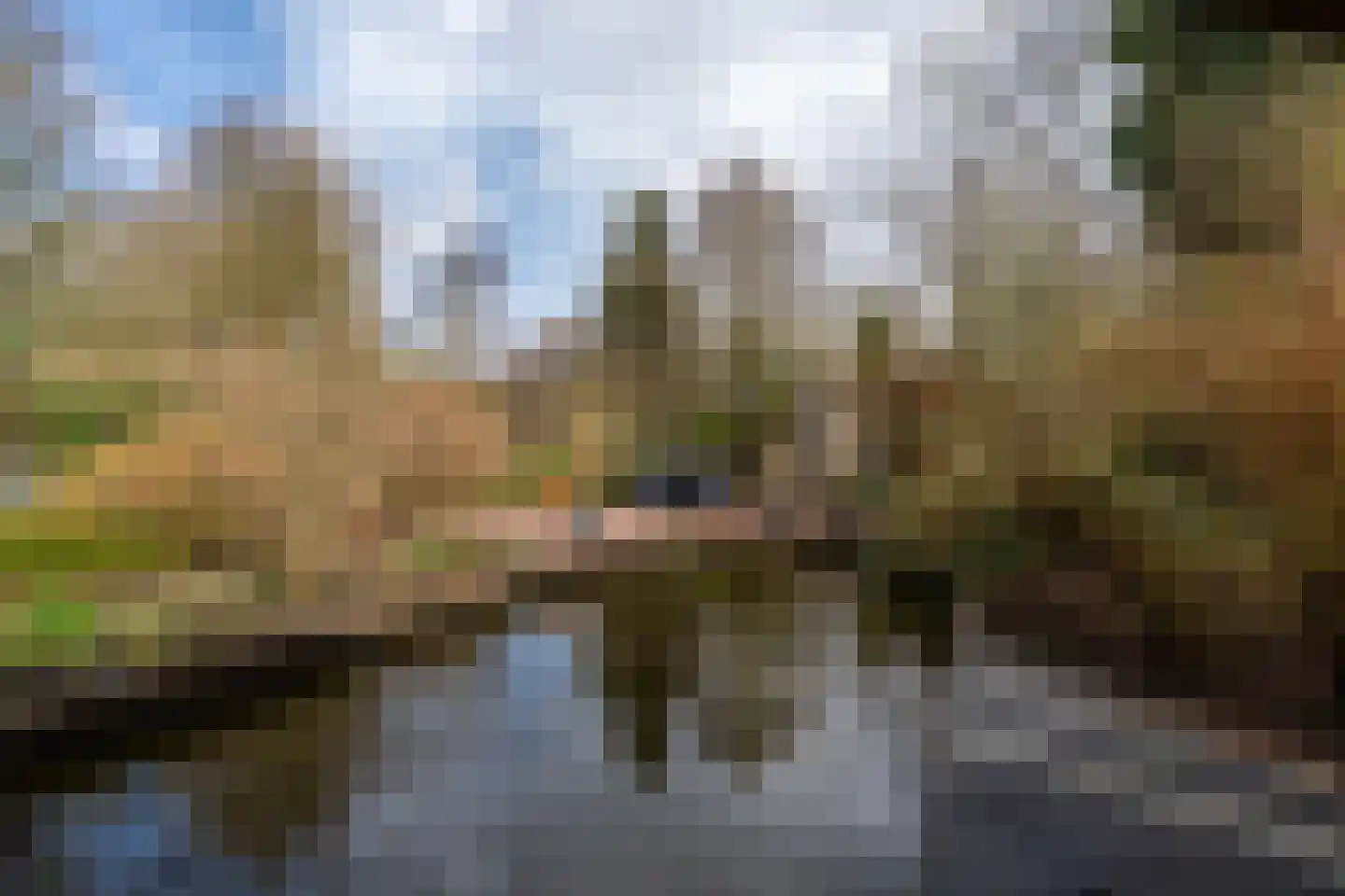 Noordzijde 193 Gasselternijveenschemond thumbnail 47