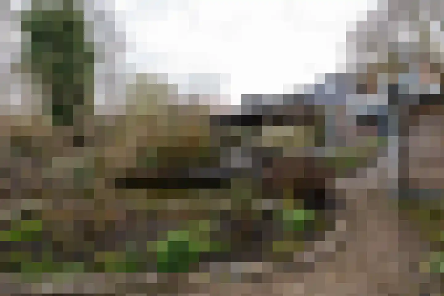 Noordzijde 193 Gasselternijveenschemond thumbnail 49