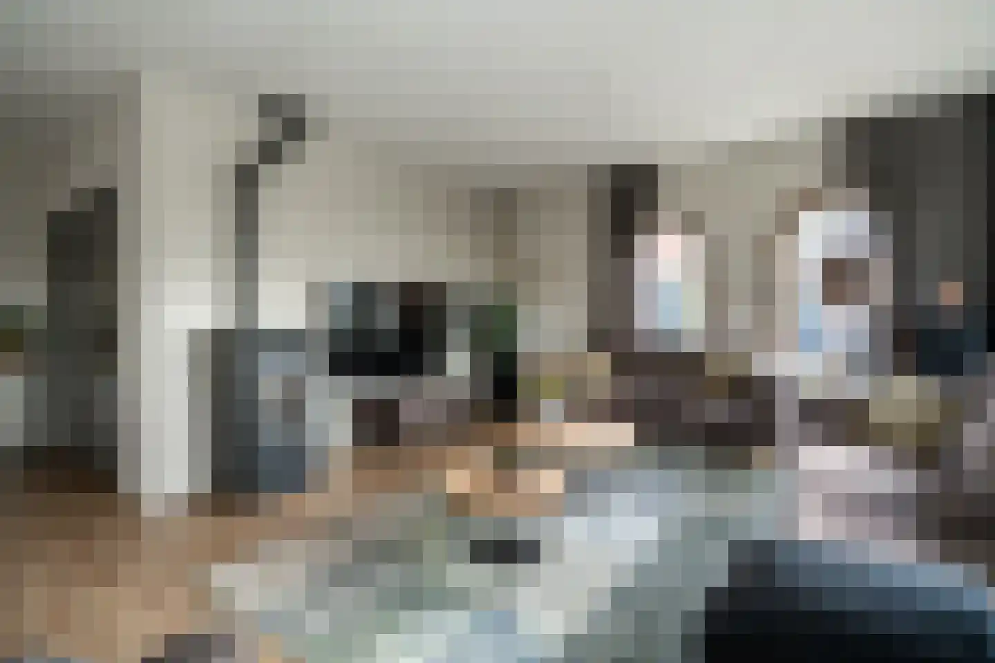 Noordzijde 193 Gasselternijveenschemond thumbnail 5