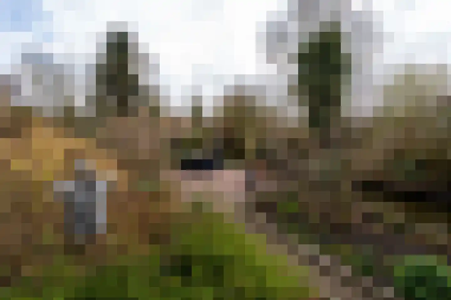 Noordzijde 193 Gasselternijveenschemond thumbnail 50