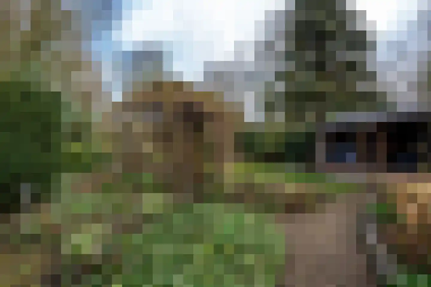 Noordzijde 193 Gasselternijveenschemond thumbnail 53