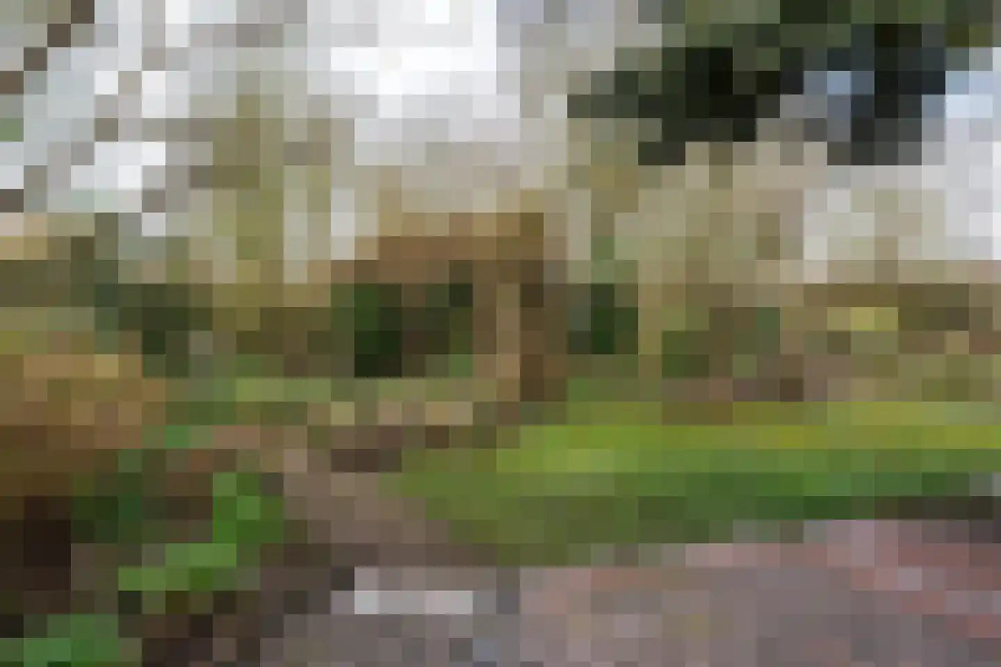 Noordzijde 193 Gasselternijveenschemond thumbnail 54