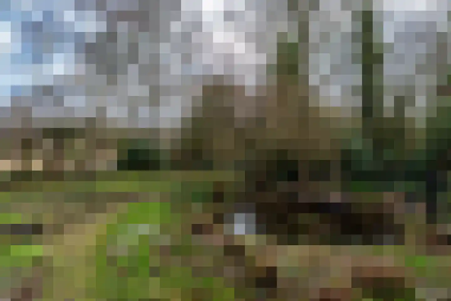 Noordzijde 193 Gasselternijveenschemond thumbnail 55