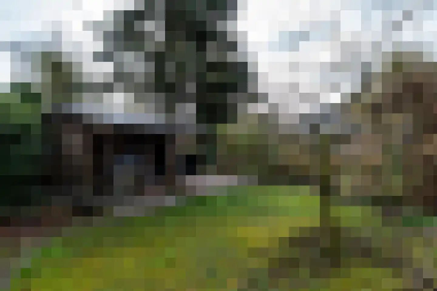 Noordzijde 193 Gasselternijveenschemond thumbnail 56