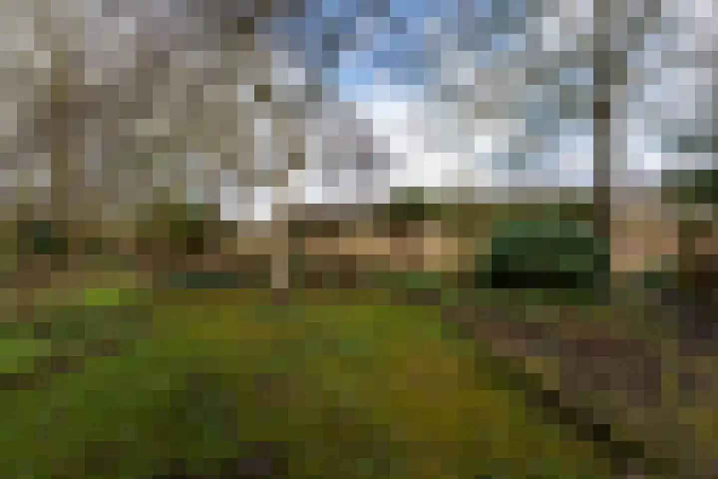Noordzijde 193 Gasselternijveenschemond thumbnail 57