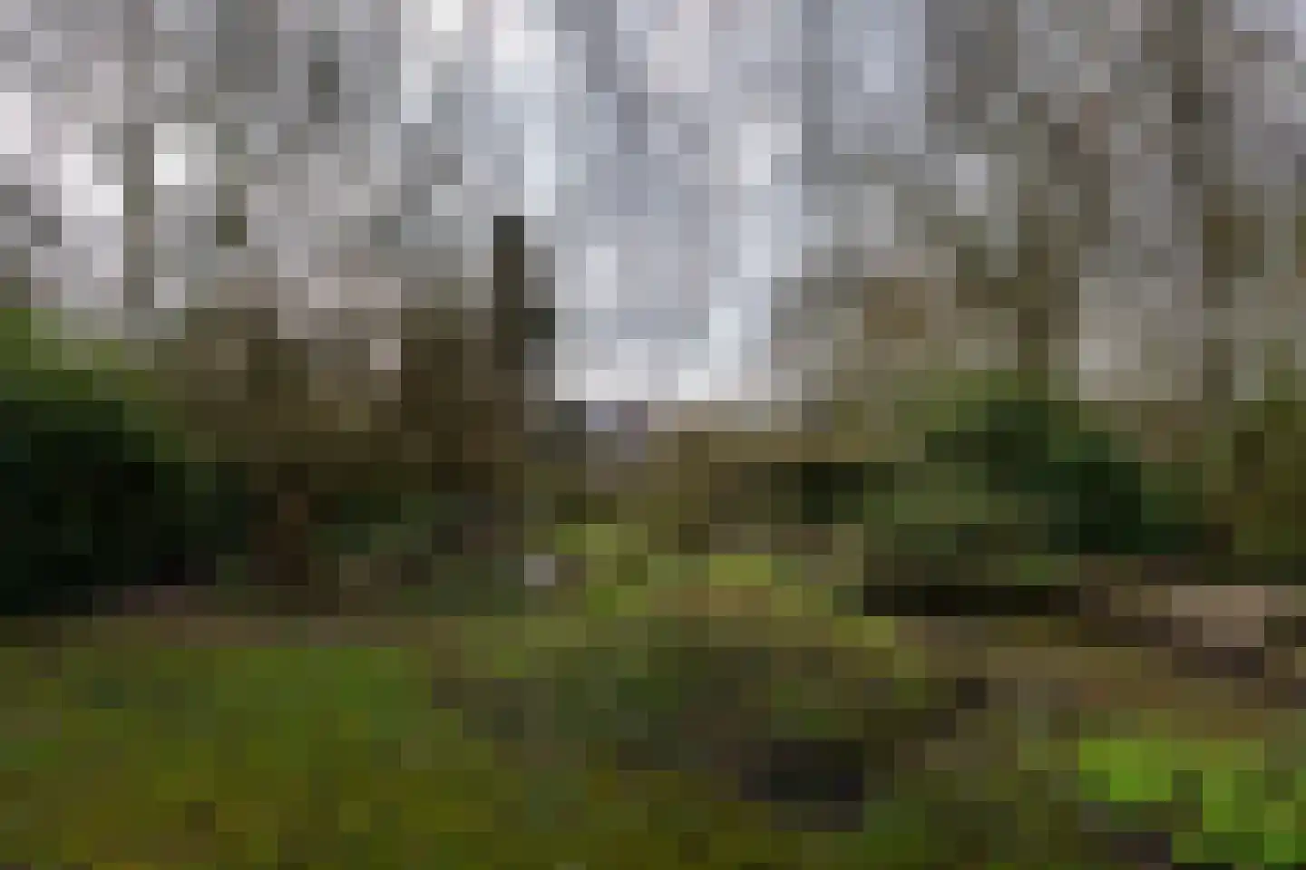 Noordzijde 193 Gasselternijveenschemond thumbnail 58