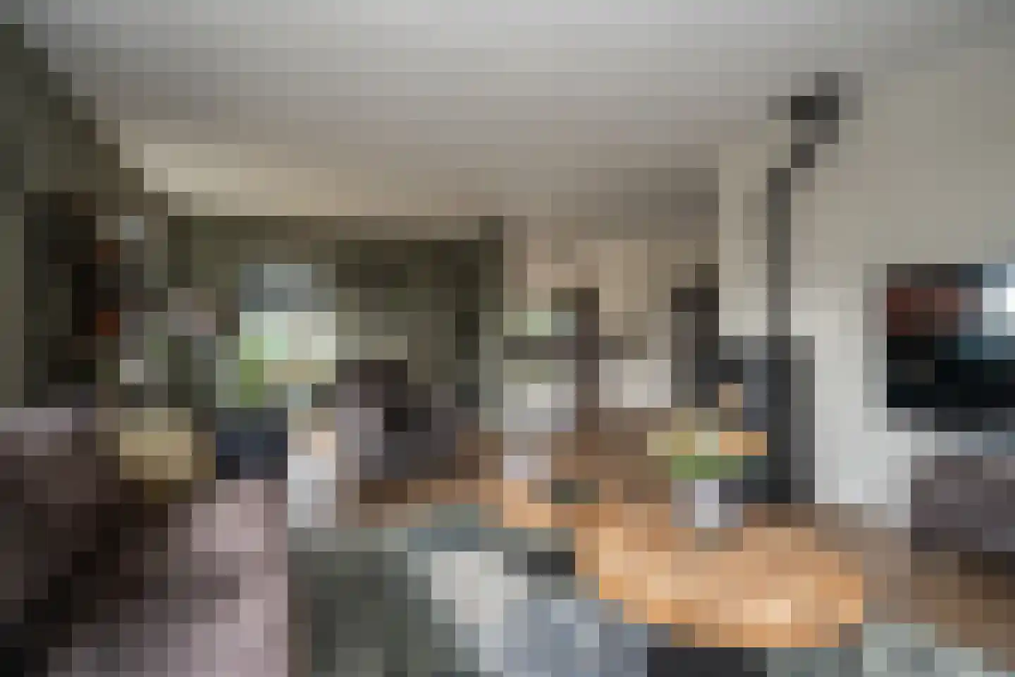 Noordzijde 193 Gasselternijveenschemond thumbnail 6