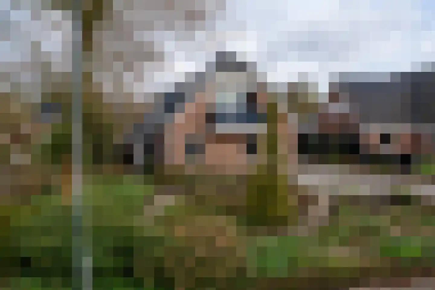 Noordzijde 193 Gasselternijveenschemond thumbnail 60