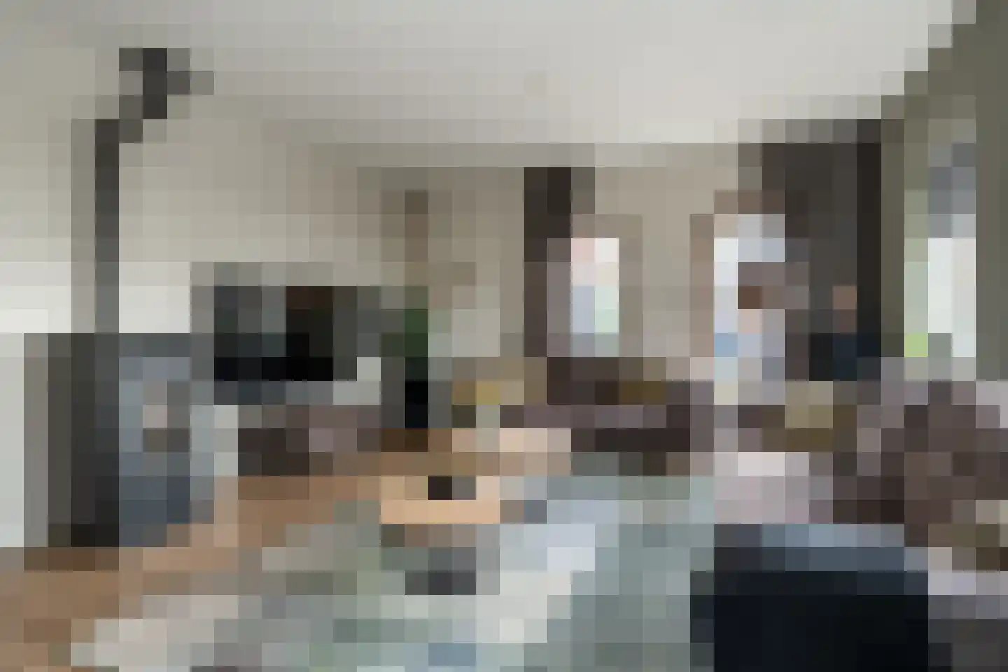 Noordzijde 193 Gasselternijveenschemond thumbnail 8