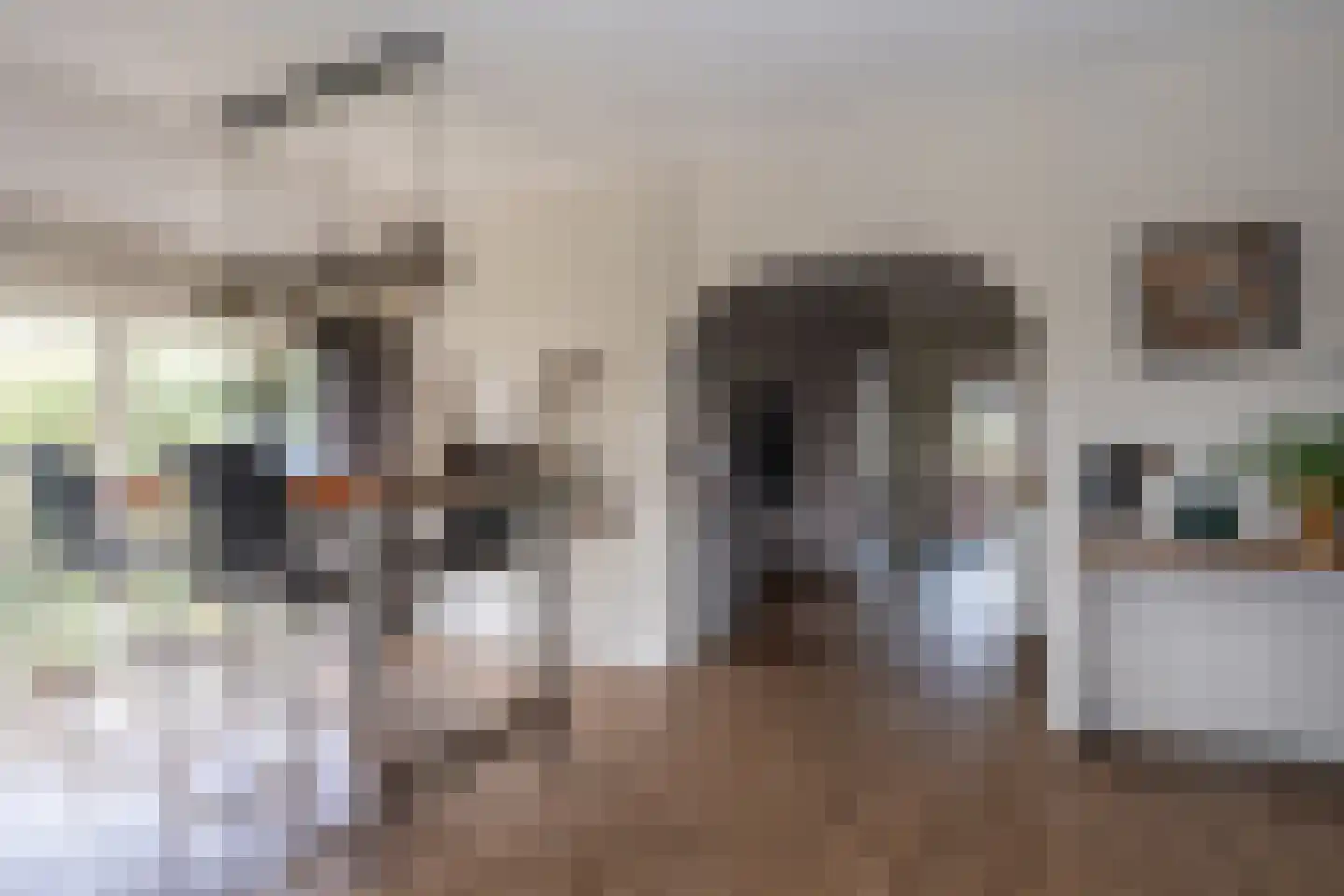 Noordzijde 193 Gasselternijveenschemond thumbnail 9