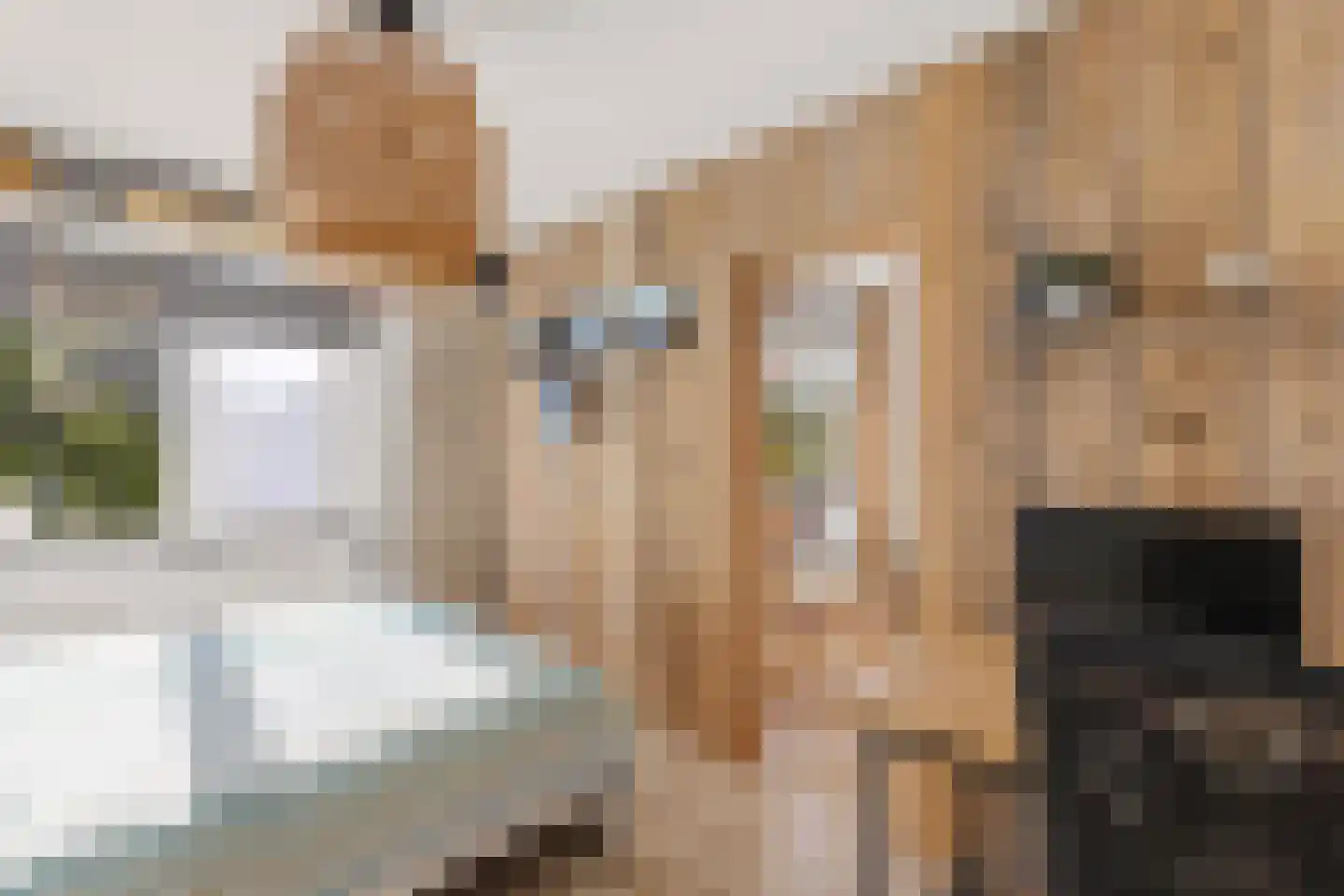 Noordzijde 243 Amsterdam thumbnail 11