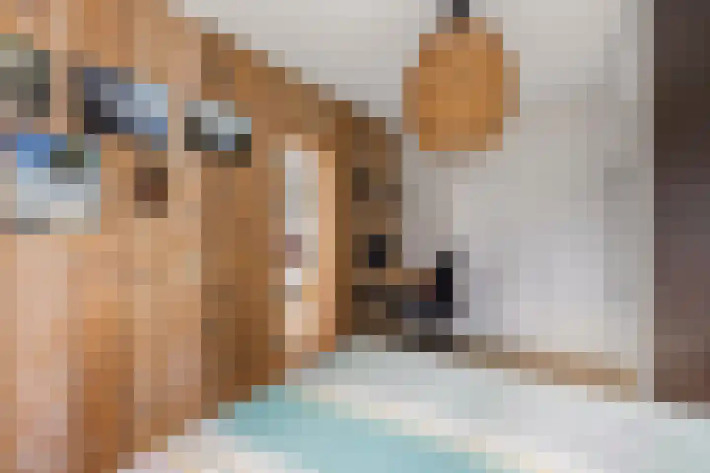 Noordzijde 243 Amsterdam thumbnail 14