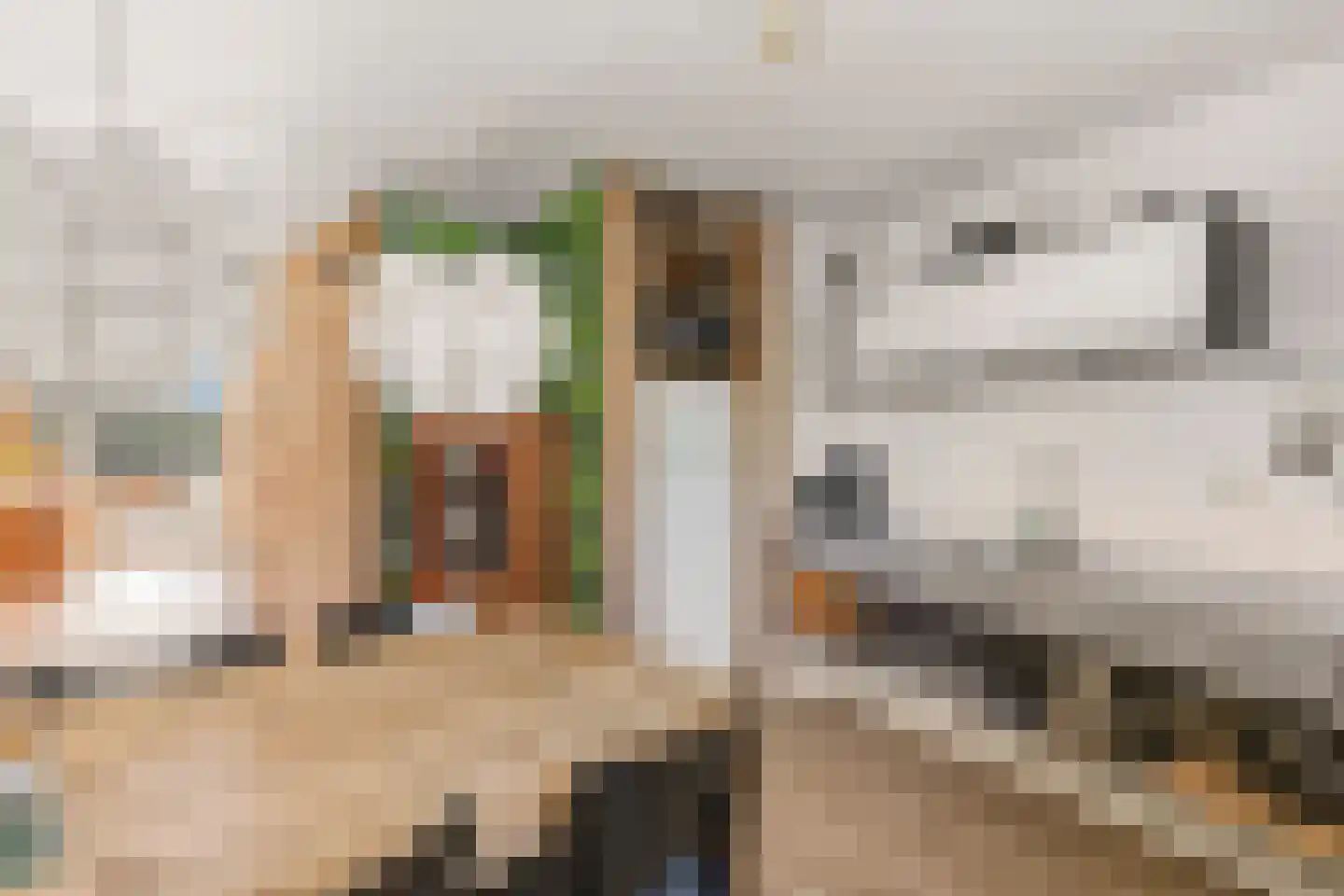 Noordzijde 243 Amsterdam thumbnail 22