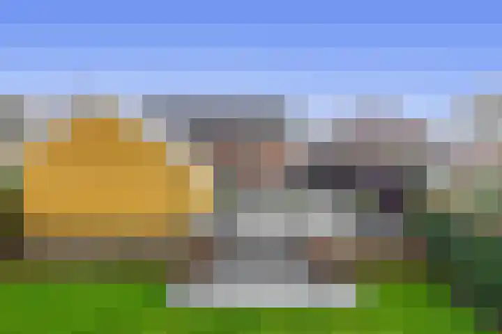Noordzijde 245 Gasselternijveenschemond thumbnail 49