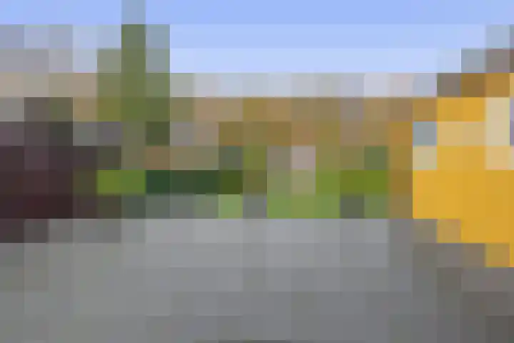 Noordzijde 245 Gasselternijveenschemond thumbnail 51