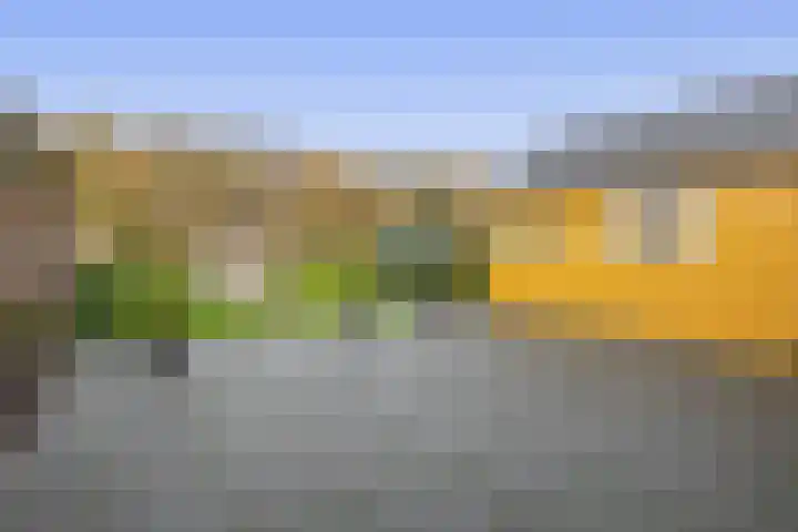 Noordzijde 245 Gasselternijveenschemond thumbnail 52