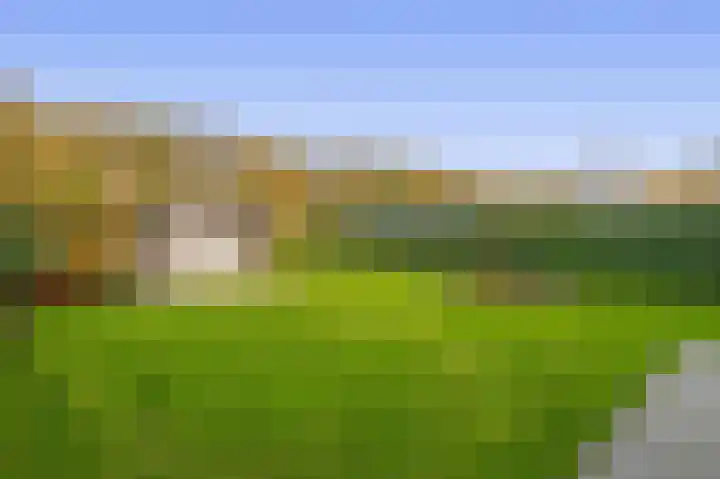 Noordzijde 245 Gasselternijveenschemond thumbnail 54