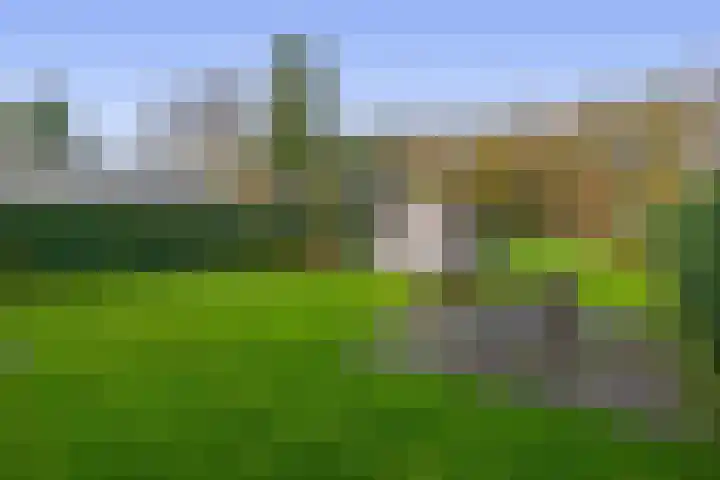 Noordzijde 245 Gasselternijveenschemond thumbnail 55