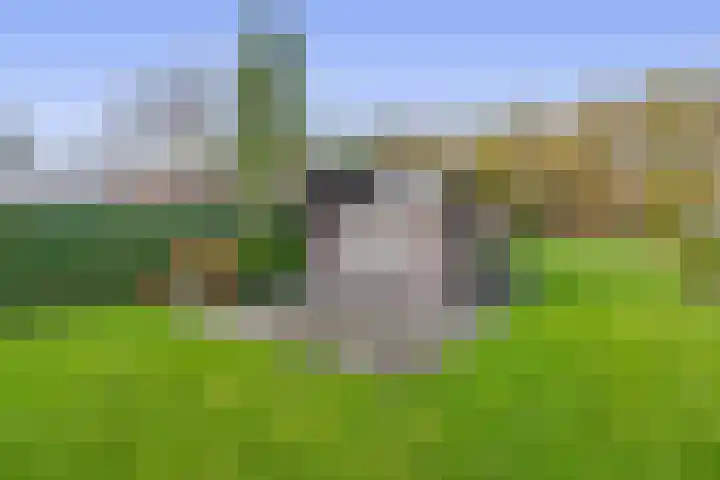 Noordzijde 245 Gasselternijveenschemond thumbnail 56