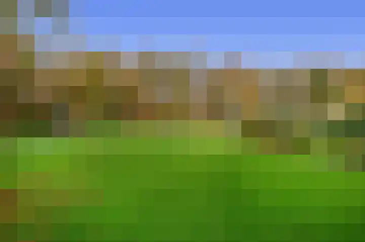 Noordzijde 245 Gasselternijveenschemond thumbnail 57