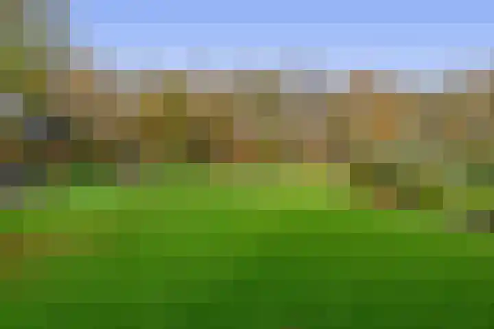 Noordzijde 245 Gasselternijveenschemond thumbnail 58