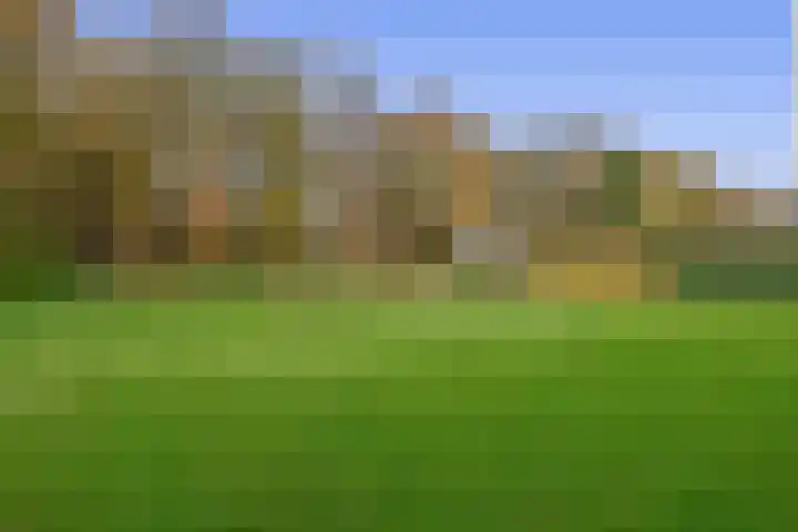 Noordzijde 245 Gasselternijveenschemond thumbnail 59