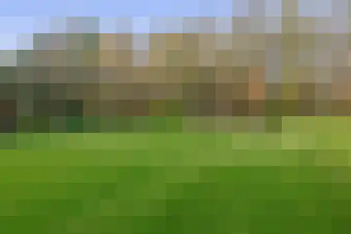 Noordzijde 245 Gasselternijveenschemond thumbnail 60