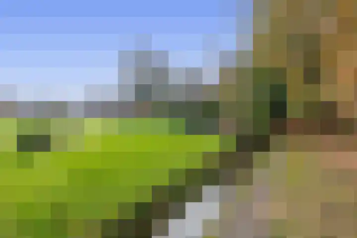 Noordzijde 245 Gasselternijveenschemond thumbnail 61