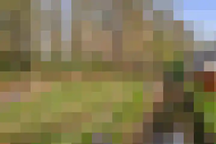 Noordzijde 245 Gasselternijveenschemond thumbnail 62