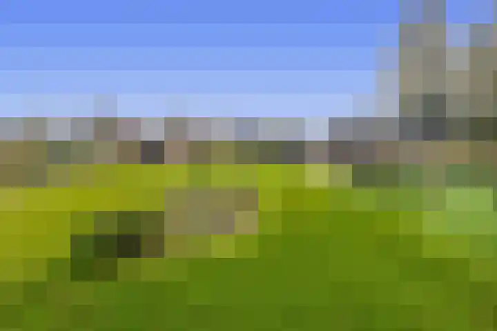 Noordzijde 245 Gasselternijveenschemond thumbnail 65