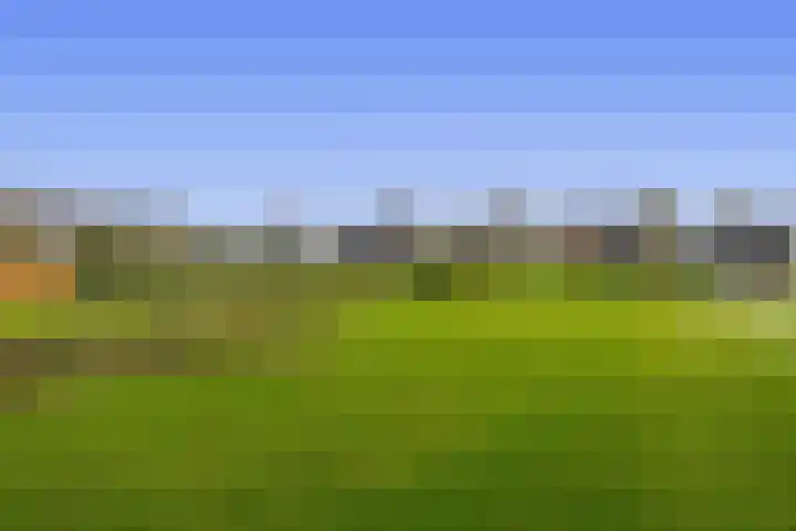 Noordzijde 245 Gasselternijveenschemond thumbnail 66