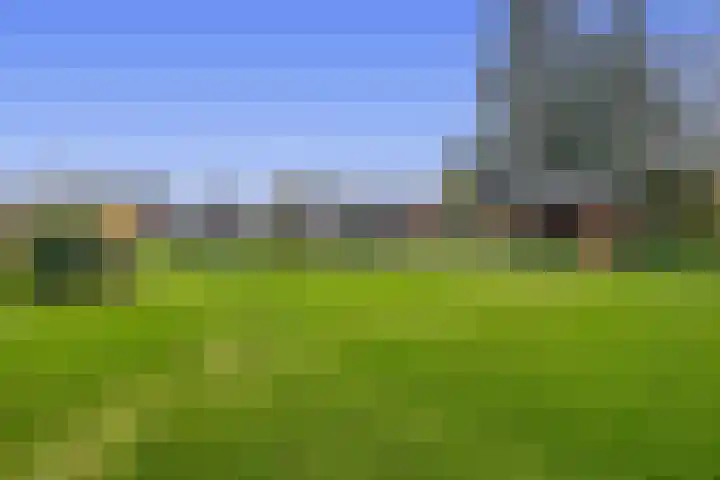 Noordzijde 245 Gasselternijveenschemond thumbnail 67