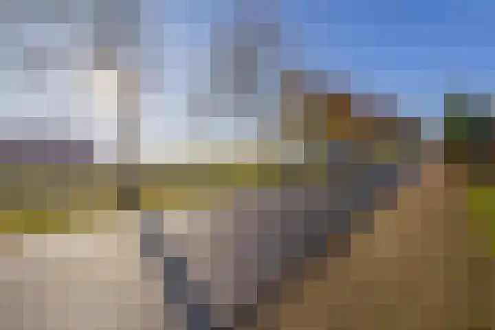 Noordzijde 245 Gasselternijveenschemond thumbnail 70