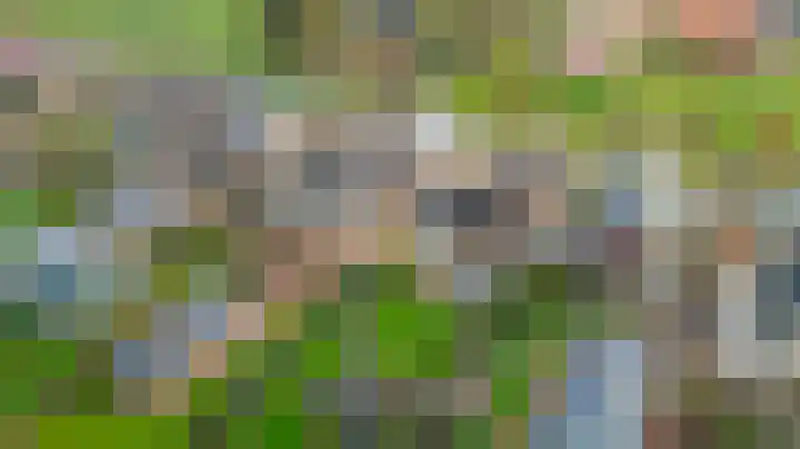 Noordzijde 245 Gasselternijveenschemond thumbnail 73