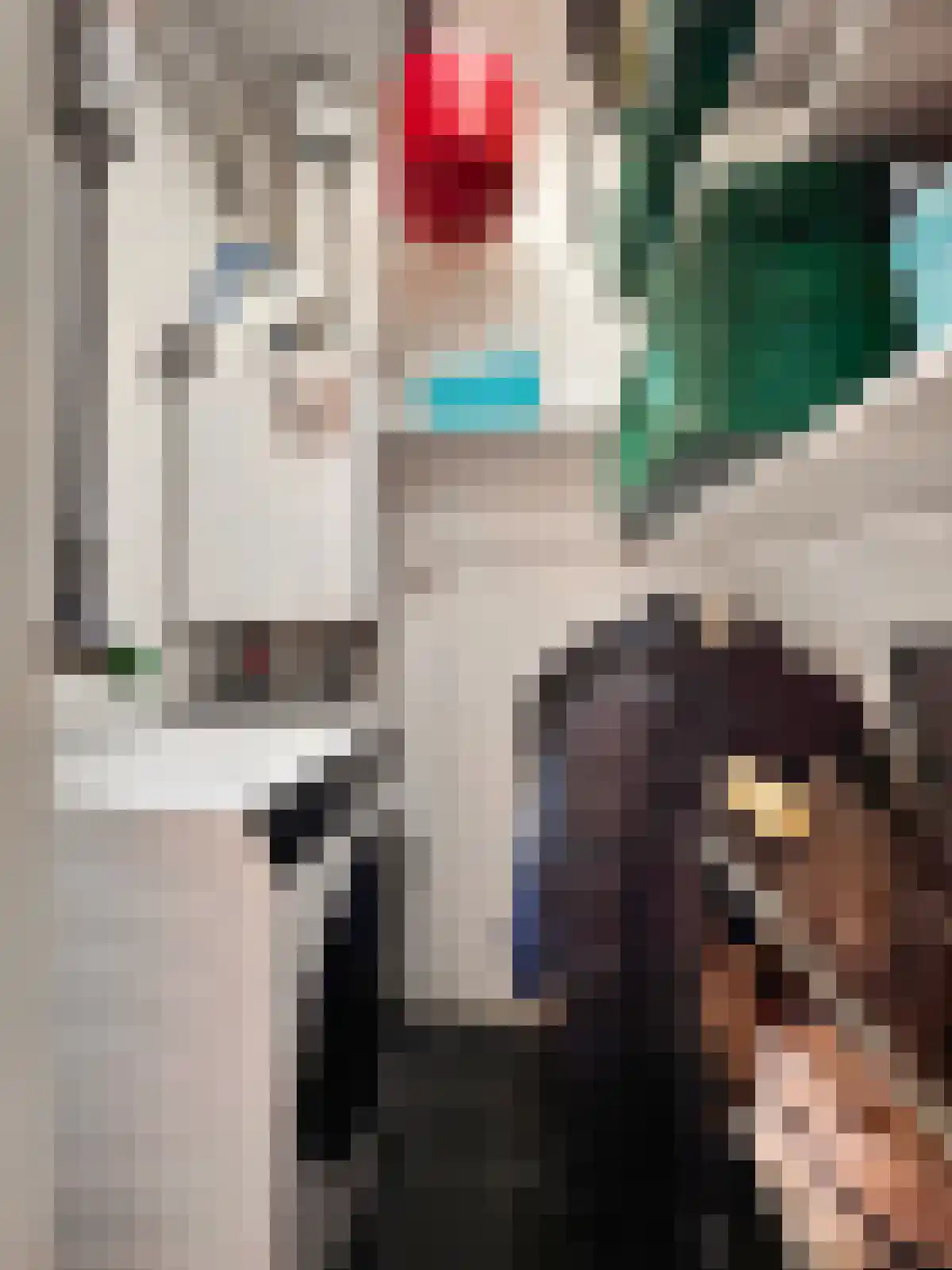 Noordzijde 249 Amsterdam thumbnail 19