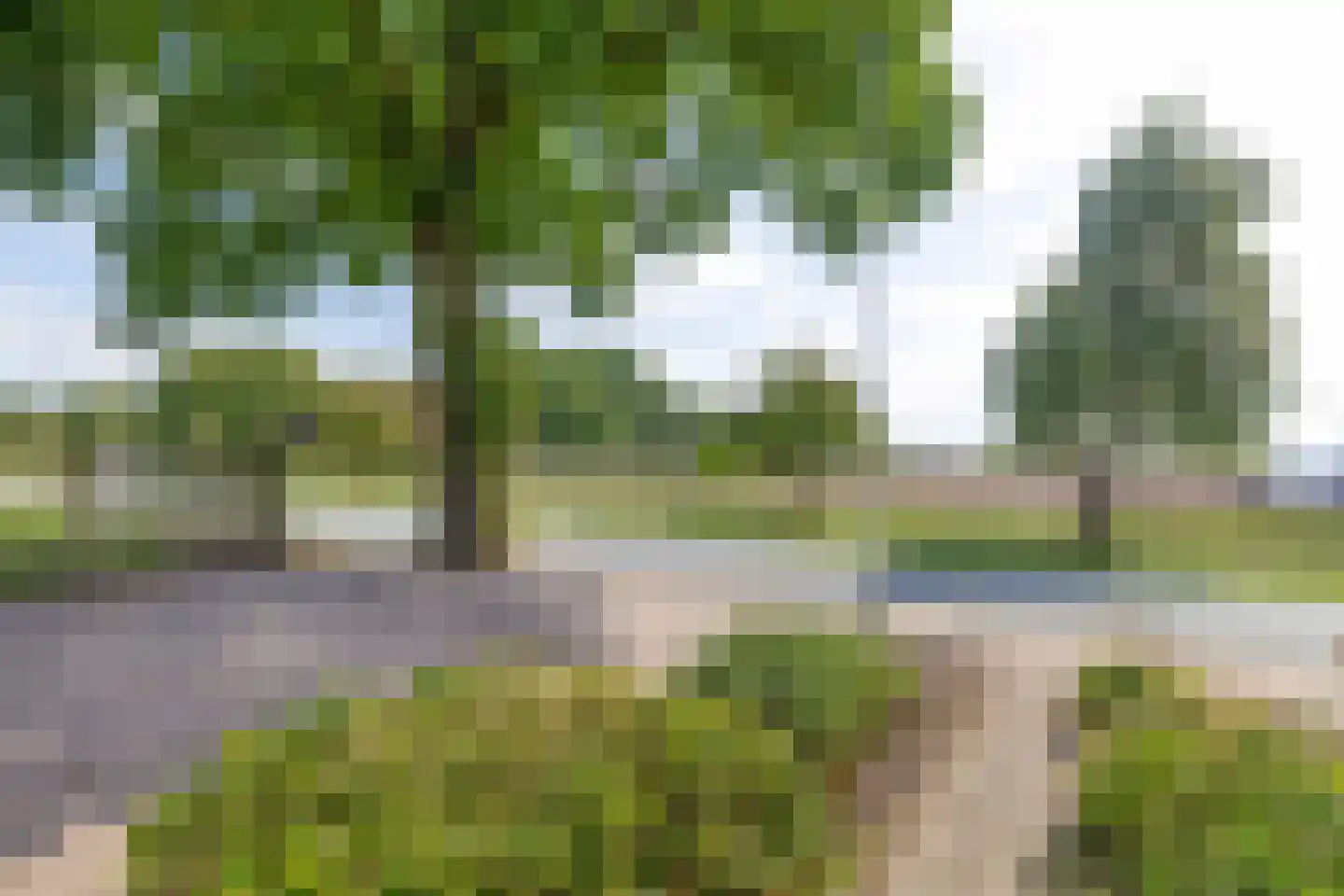 Noordzijde 263 Gasselternijveenschemond thumbnail 13