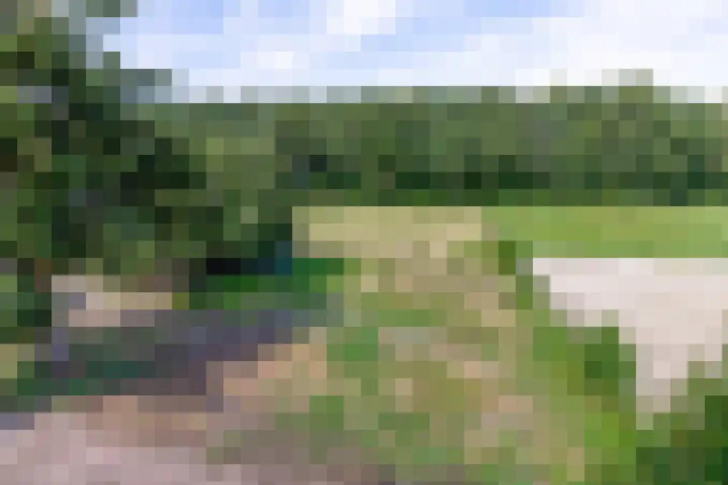 Noordzijde 263 Gasselternijveenschemond thumbnail 44