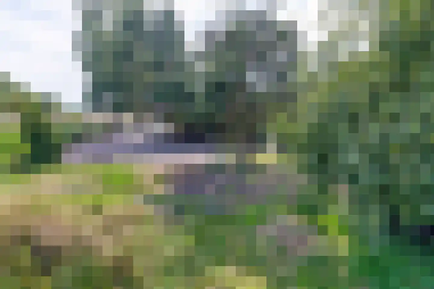 Noordzijde 263 Gasselternijveenschemond thumbnail 45