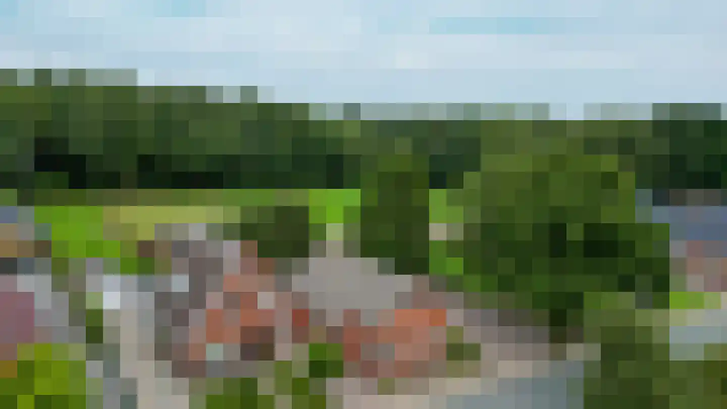 Noordzijde 263 Gasselternijveenschemond thumbnail 5