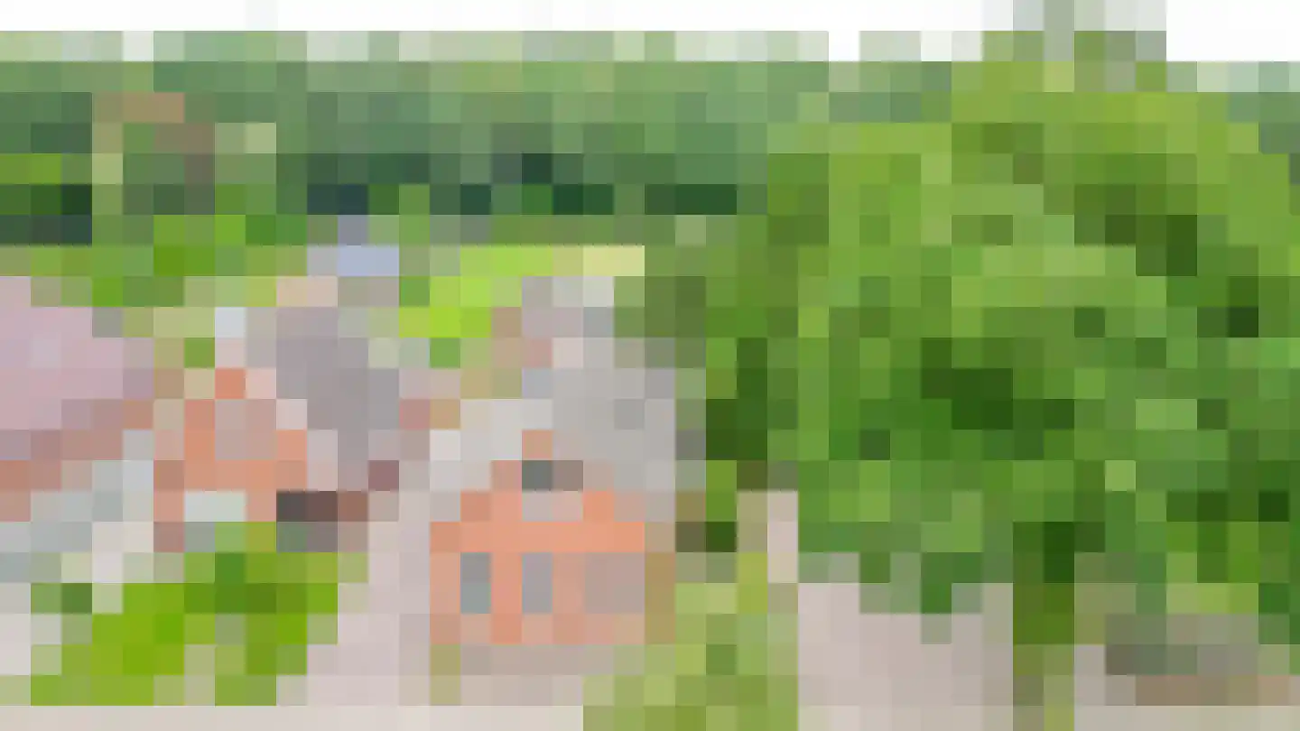 Noordzijde 263 Gasselternijveenschemond thumbnail 50