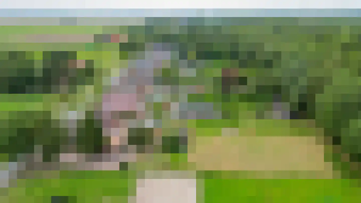 Noordzijde 263 Gasselternijveenschemond thumbnail 54