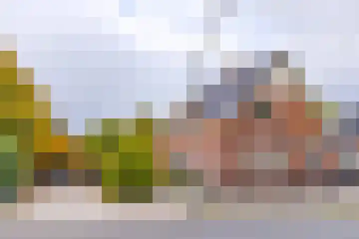 Noordzijde 287 in Gasselternijveenschemond