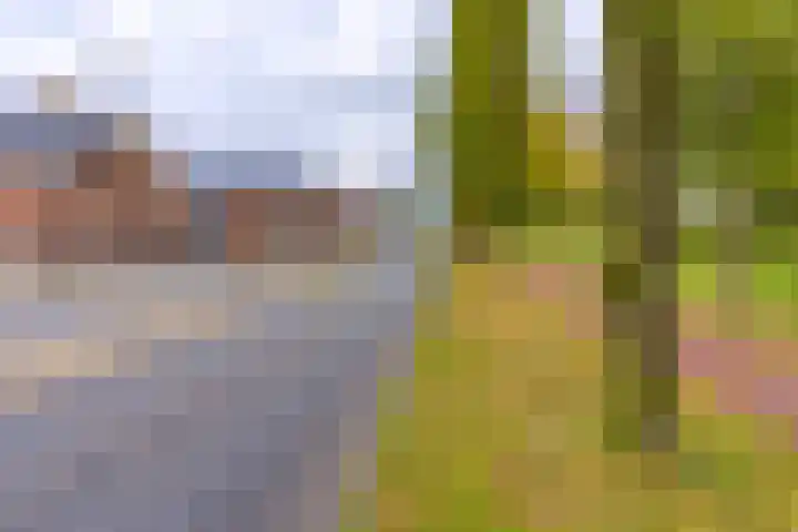 Noordzijde 287 Gasselternijveenschemond thumbnail 10